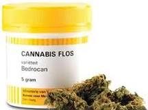 Holanda exportará cannabis medicinal