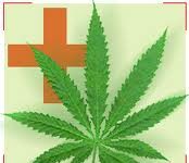 Salud descarta recetar marihuana pese a la creciente demanda Salud descarta recetar marihuana pese a la creciente demanda