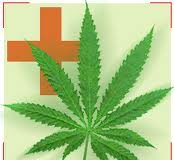 Salud descarta recetar marihuana pese a la creciente demanda