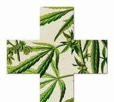 Hallan cómo sustituir el uso medicinal de la marihuana Hallan cómo sustituir el uso medicinal de la marihuana
