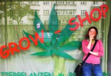 Uno de cada seis negocios relacionados con el cannabis están en Madrid Uno de cada seis negocios relacionados con el cannabis están en Madrid