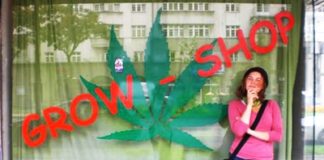 Uno de cada seis negocios relacionados con el cannabis están en Madrid