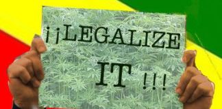 El nuevo paradigma sobre las drogas