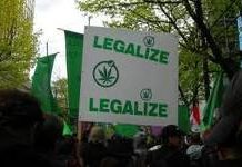 Voto por la marihuana Voto por la marihuana