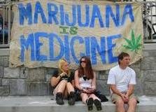 Autorizan a tratar con marihuana en 14 estados de EE.UU