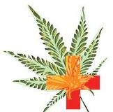 Diez beneficios médicos comprobados de la marihuana