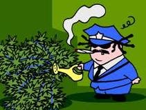 El Gran Hermano de la marihuana