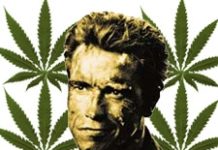 Sueños californianos: despenalizar la marihuana Sueños californianos: despenalizar la marihuana