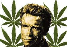 Sueños californianos: despenalizar la marihuana