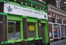 Mil empresas viven en España del negocio legal de la marihuana Mil empresas viven en España del negocio legal de la marihuana