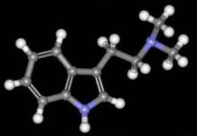 El poderoso psicodélico DMT invade el Reino Unido El poderoso psicodélico DMT invade el Reino Unido