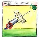 OEA: La guerra contra las drogas no ha funcionado OEA: La guerra contra las drogas no ha funcionado