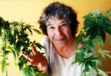 Histórica activista, acusada de tráfico de drogas Histórica activista, acusada de tráfico de drogas