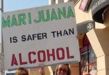 Marihuana legal, un modelo económico sostenible Marihuana legal, un modelo económico sostenible