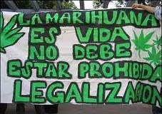Legalizar las drogas, un informe