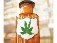 Prensa alternativa de EE.UU. sobrevive a la crisis gracias a la marihuana Prensa alternativa de EE.UU. sobrevive a la crisis gracias a la marihuana