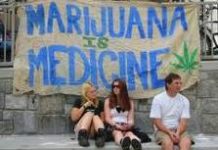 Absuelta una pareja que cultivó marihuana en su vivienda con uso terapéutico Absuelta una pareja que cultivó marihuana en su vivienda con uso terapéutico