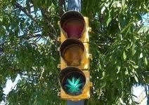 El referéndum en California legalizaría el consumo de marihuana El referéndum en California legalizaría el consumo de marihuana