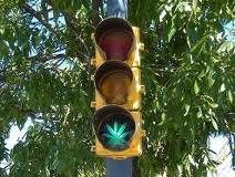 El referéndum en California legalizaría el consumo de marihuana