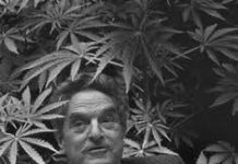 George Soros dona 1 millón para legalizar marihuana George Soros dona 1 millón para legalizar marihuana