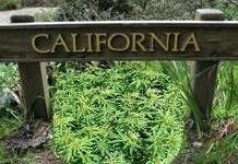 California dice no California dice no