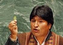 La paradoja de la coca La paradoja de la coca