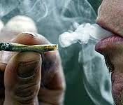 Fumar marihuana aumenta el riesgo de infecciones Fumar marihuana aumenta el riesgo de infecciones
