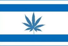 El cannabis estará en las farmacias de Israel El cannabis estará en las farmacias de Israel