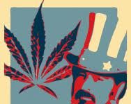 Movimiento que promueve legalización en California renovará campaña Movimiento que promueve legalización en California renovará campaña