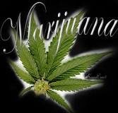 La legalización de la marihuana, ¿locura o genialidad?