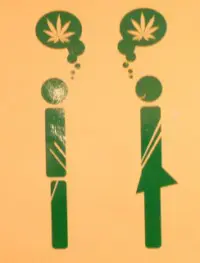 images/stories/cannabiscali.jpg