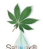 El cannabis es eficaz para prevenir las náuseas y vómitos de la quimioterapia