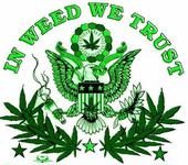 Arizona legaliza la marihuana médica Arizona legaliza la marihuana médica