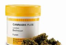 Premio a las mejores plantas de cannabis terapéutico Premio a las mejores plantas de cannabis terapéutico
