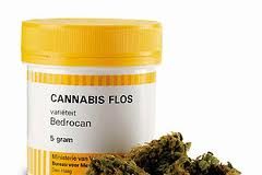 Premio a las mejores plantas de cannabis terapéutico