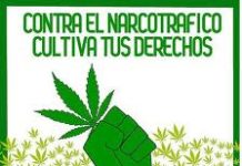 Nace en Extremadura una asociación para la despenalización de la mahihuana Nace en Extremadura una asociación para la despenalización de la mahihuana