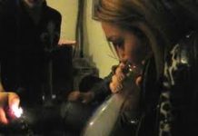 Buscan prohibir la salvia por el vídeo de Miley Cyrus Buscan prohibir la salvia por el vídeo de Miley Cyrus