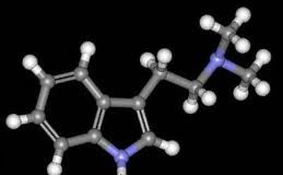 La DEA hace ilegal el 5-MeO-DMT, ‘la mólecula de Dios’