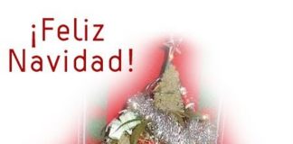 Un árbol de navidad cannábico