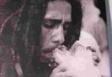 Nace lobby en favor de la marihuana