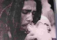 Nace lobby en favor de la marihuana