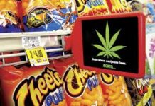 Fumador de marihuana fracasa en robo de banco por sucumbir a los &lsquo;munchies&rsquo;