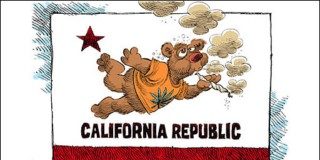 California dijo ‘no’ a ‘Cannabis Corporation’