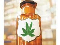 Una guía afirma que el cannabis no es terapéutico Una guía afirma que el cannabis no es terapéutico