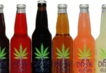 Un empresario producirá refrescos de marihuana Un empresario producirá refrescos de marihuana