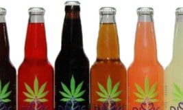 Un empresario producirá refrescos de marihuana