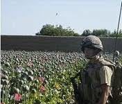 Afganistán – EEUU: geopolítica del comercio de las drogas Afganistán – EEUU: geopolítica del comercio de las drogas