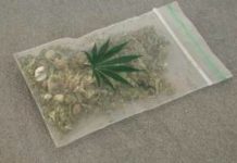 Detenida por enviar marihuana a Holanda bolsamaruj