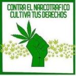Sobre las asociaciones cannábicas (I) cultivaderech