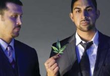 Un nuevo emporio de la marihuana medicinal: weGrow emporiocanna